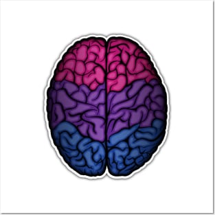 Large Bisexual Pride Flag Colored Brain Vector Posters and Art